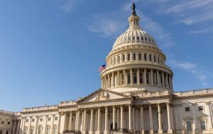 Navigating the Data Void: Investment Strategy During the 2025 U.S. Government Shutdown
